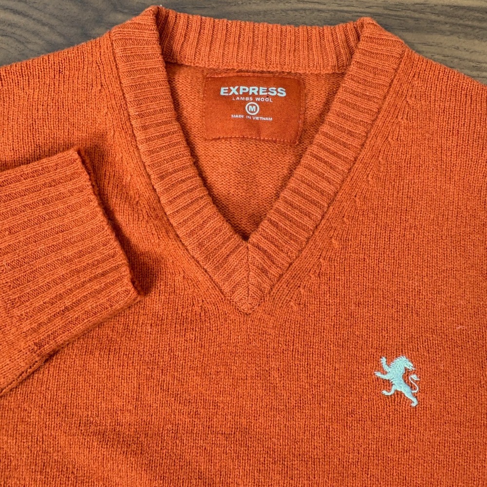Express V-Neck Sweater Mens M Orange Lambs Wool Embroidered Lion Vintage Y2K